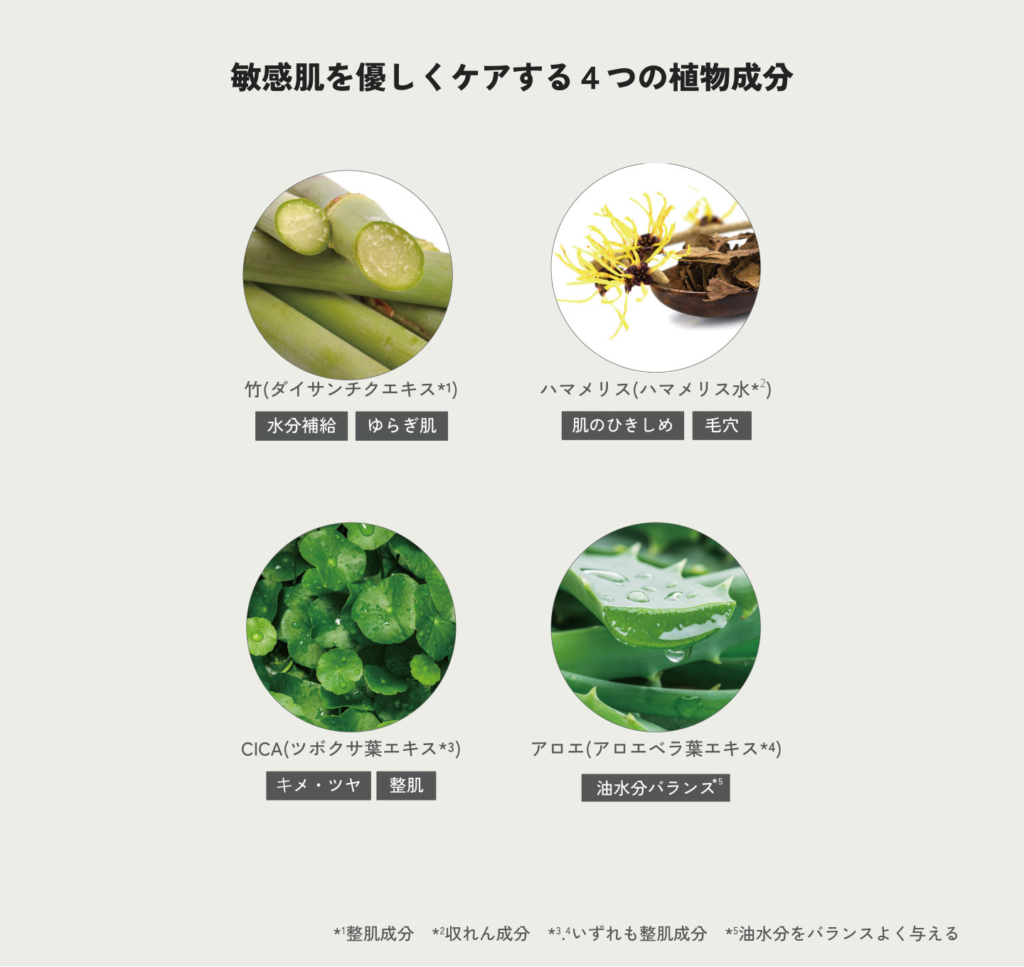 2025年10月15日 販売終了】EVERYDAY FACE MASK – TAOYA official web shop