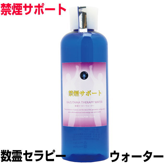 楽天市場】数霊miniの通販