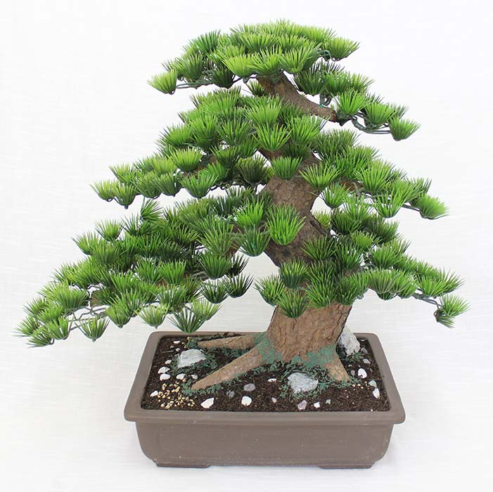 楽天市場】【工芸盆栽】長角 12号（デラックス）【Bonsai of imitation