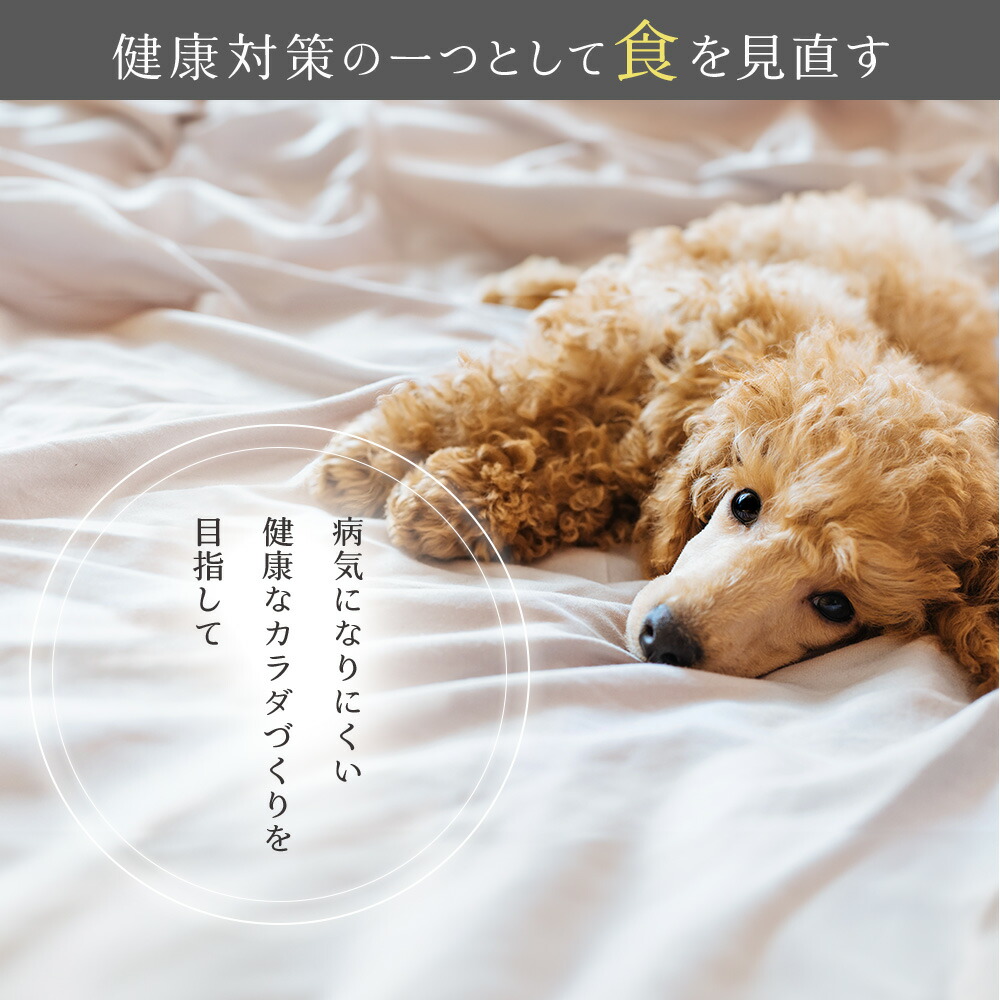 楽天市場】［楽天スーパーSALE 10％OFF］【公式 ドッグフード工房