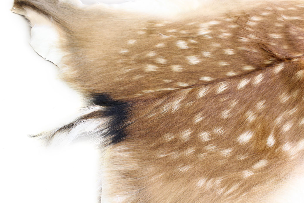 楽天市場】北海道産【鹿毛皮敷物（ラグマット）夏毛】毛付き鹿皮【送料