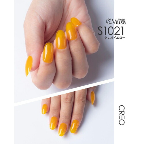 楽天市場】PREGEL プリジェル ミューズ クレオシリーズ 3色セット 各3g
