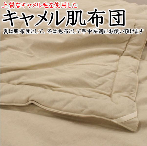 楽天市場】キャメル肌布団 シングルサイズ150×210cm 充填量0.8kg 日本