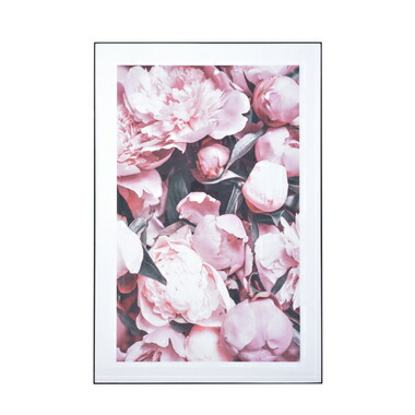 楽天市場】アートパネル フラワー フォト 80×120 幅80 高さ120 特大