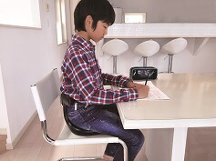 楽天市場】公式 骨盤矯正 座椅子 脊柱管狭窄症 床 クッション 腰痛対策