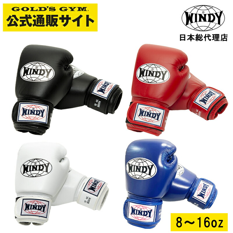 楽天市場】【日本総代理店】ランキング1位獲得 WINDY(ウィンディ) BGVH
