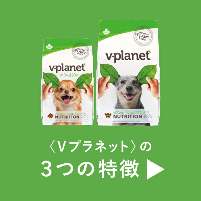 楽天市場】Vプラネット 小型犬用 小粒 2kg | 完全植物性のヴィーガン