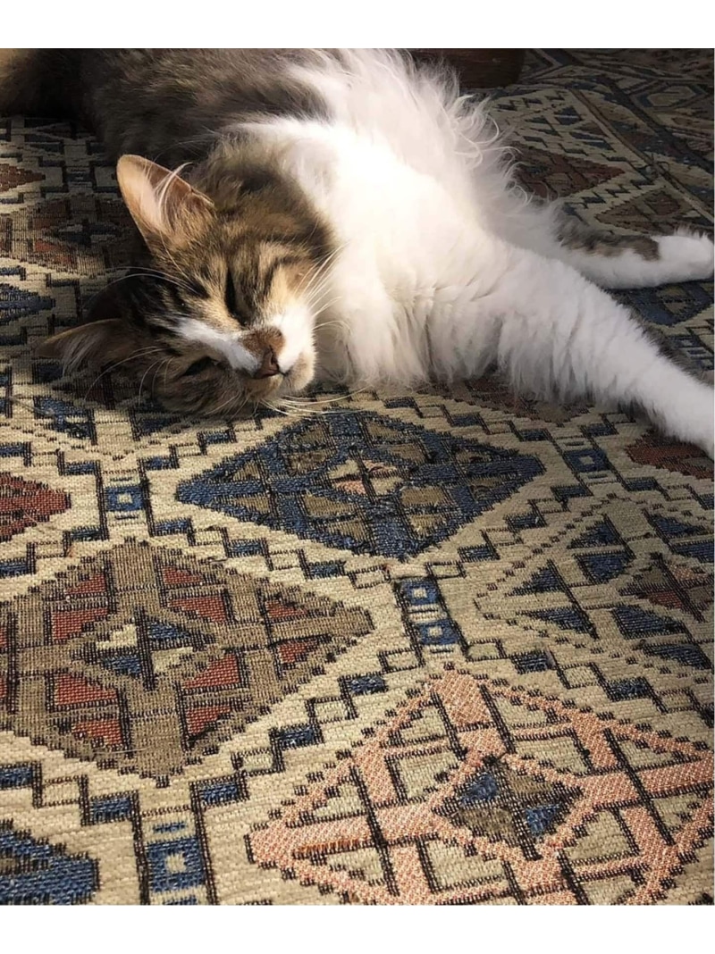 楽天市場】JOURNAL STANDARD FURNITURE GLENOAKS RUG 120x160 グレン