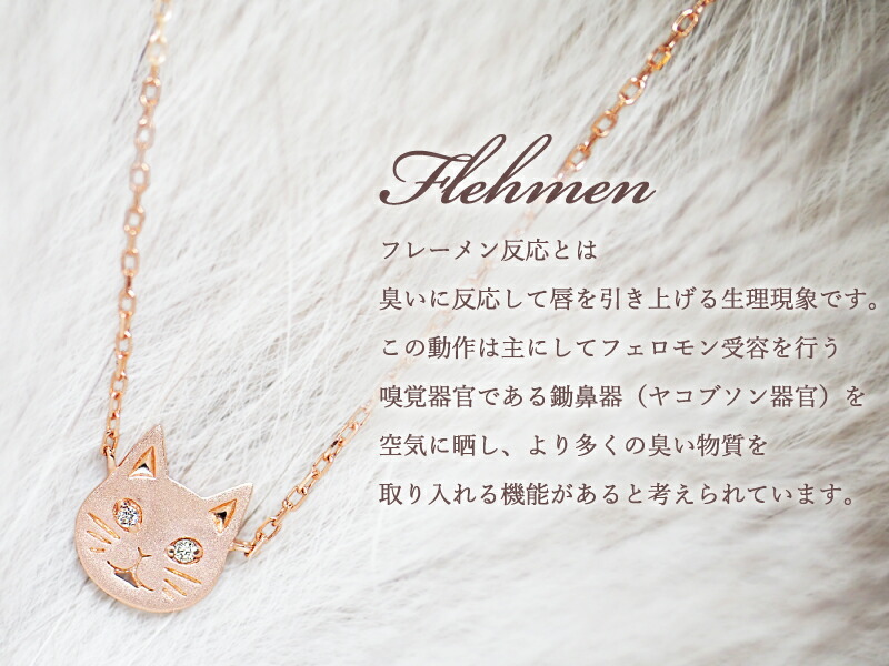 楽天市場】＼8%OFFクーポン4時間限定／ 猫 ダイヤモンド 0.01ct