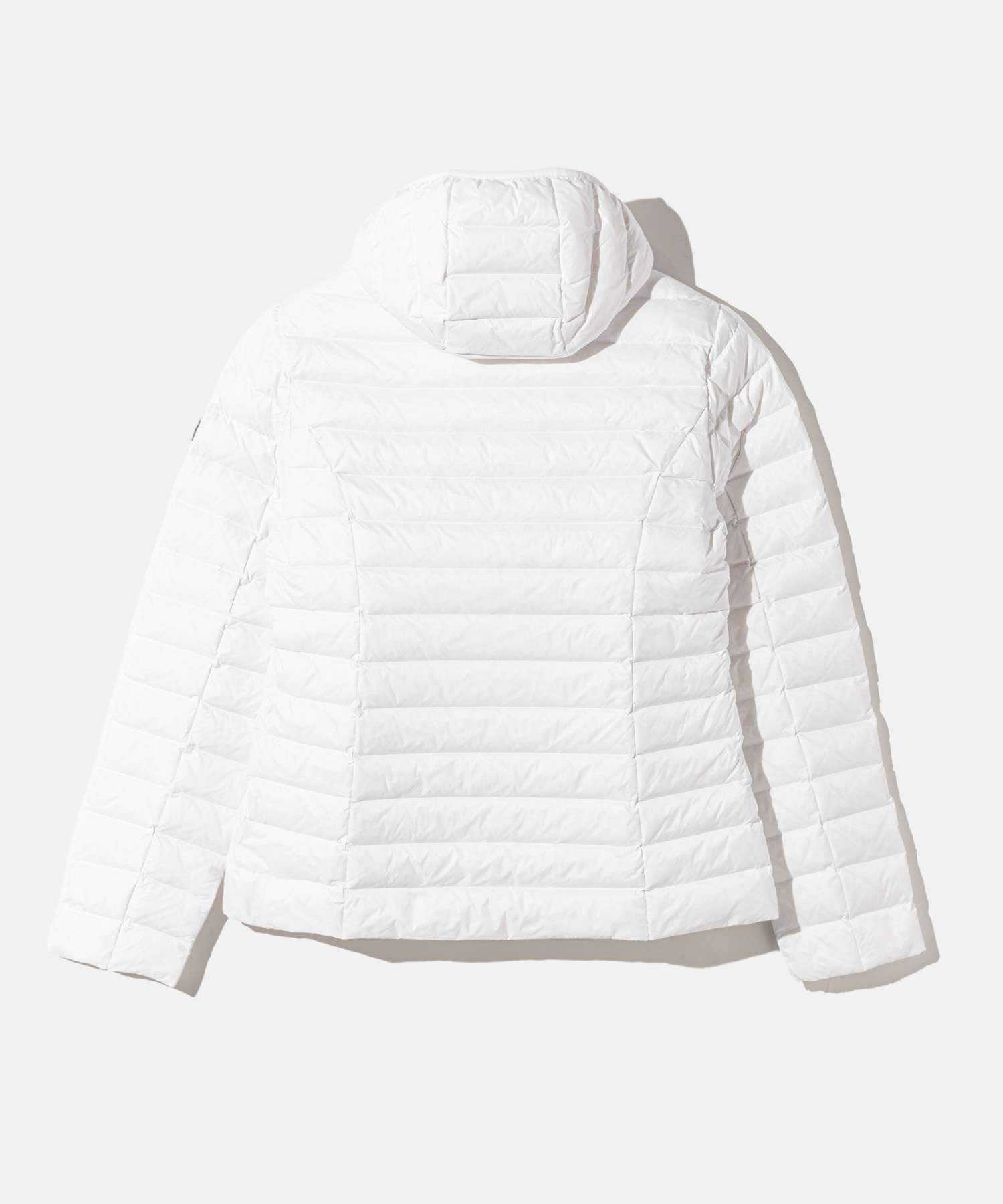 楽天市場】ジョット JOTT CLOE クロエ LADY'S JACKET ジャケット