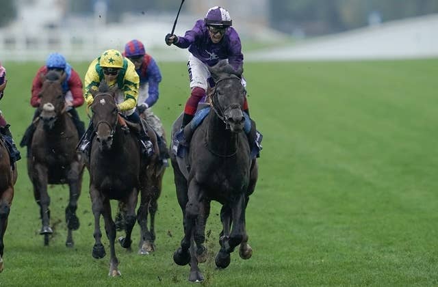 ウートンバセットの種付け料、クールモアで最高額の20万ユーロに | JRA