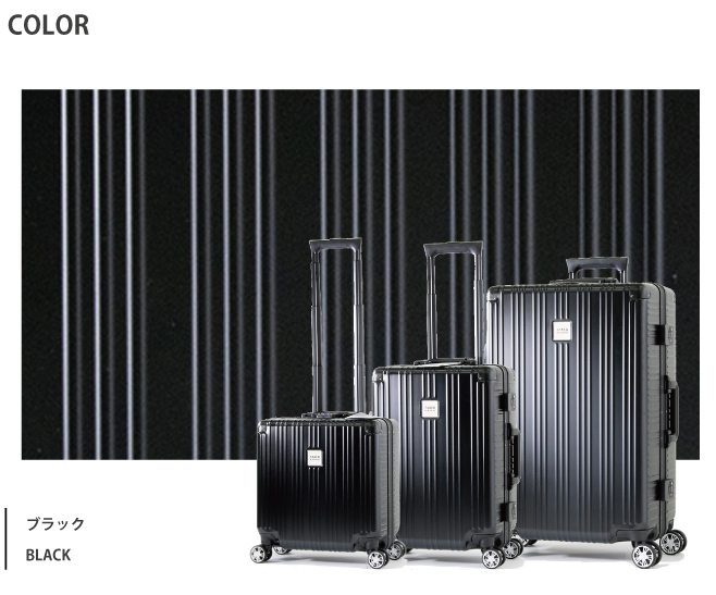 送料無料 正規品 スーツケース 機内持ち込み タケオキクチ ダージリン