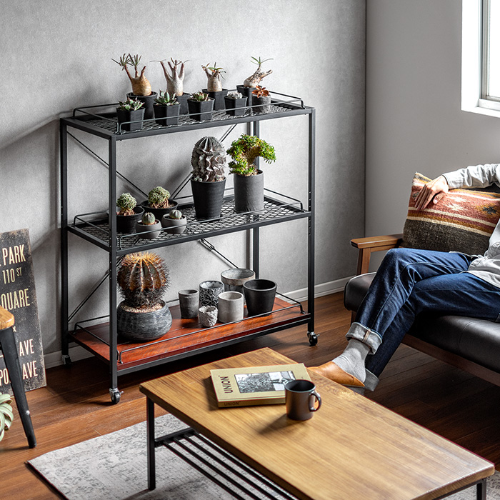 ヴィンテージ調ボタニカルラック BILLS(ビルズ)125cm幅 | 家具