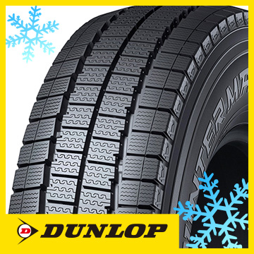 DL_WINTER_MAXX_LV01forVAN_snow