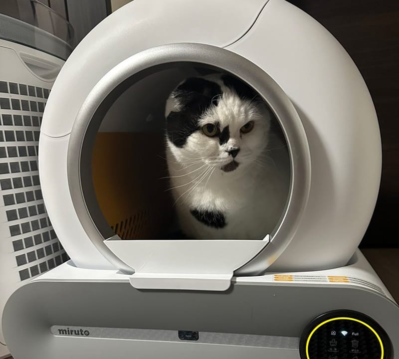 全自動スマートトイレ(Coco) 購入ページ | miruto公式