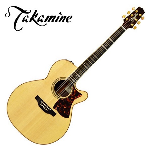 国産アコースティックギターのすすめ｜島村楽器 イオンモール名取店