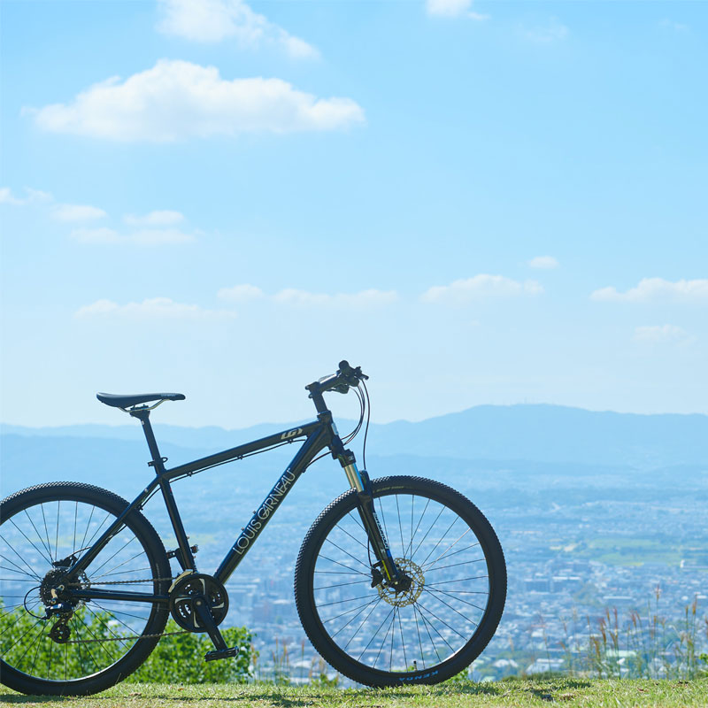 LOUIS GARNEAU（ルイガノ）2023年モデル GRIND 9.0（グラインド9.0）