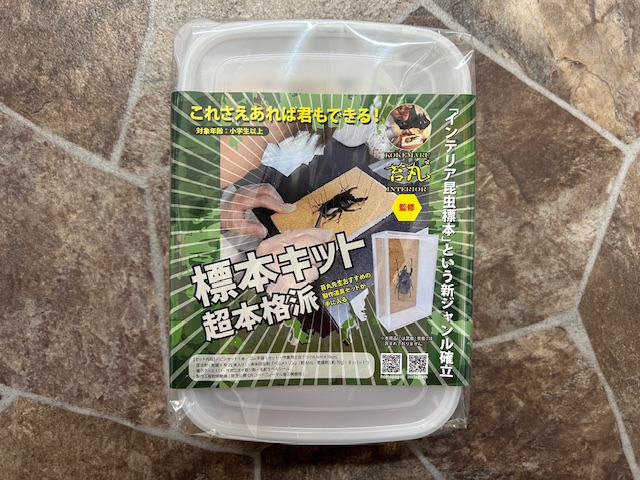 昆虫 標本キット - ペットショップCOLORS