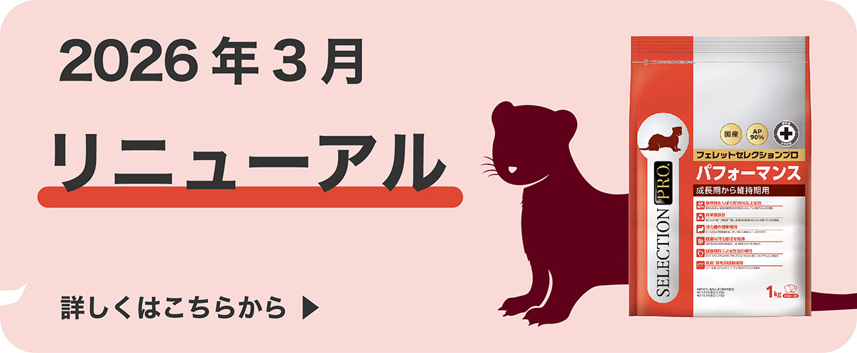 FERRET SELECTION PRO.｜ブランドサイト ― TOP
