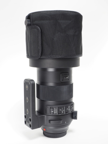 交換レンズレビュー：SIGMA 150-600mm F5-6.3 DG OS HSM | Sports