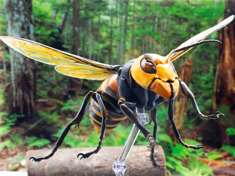 レビュー】自然が生む造形の美しさ！ 「REVO GEOオオスズメバチ