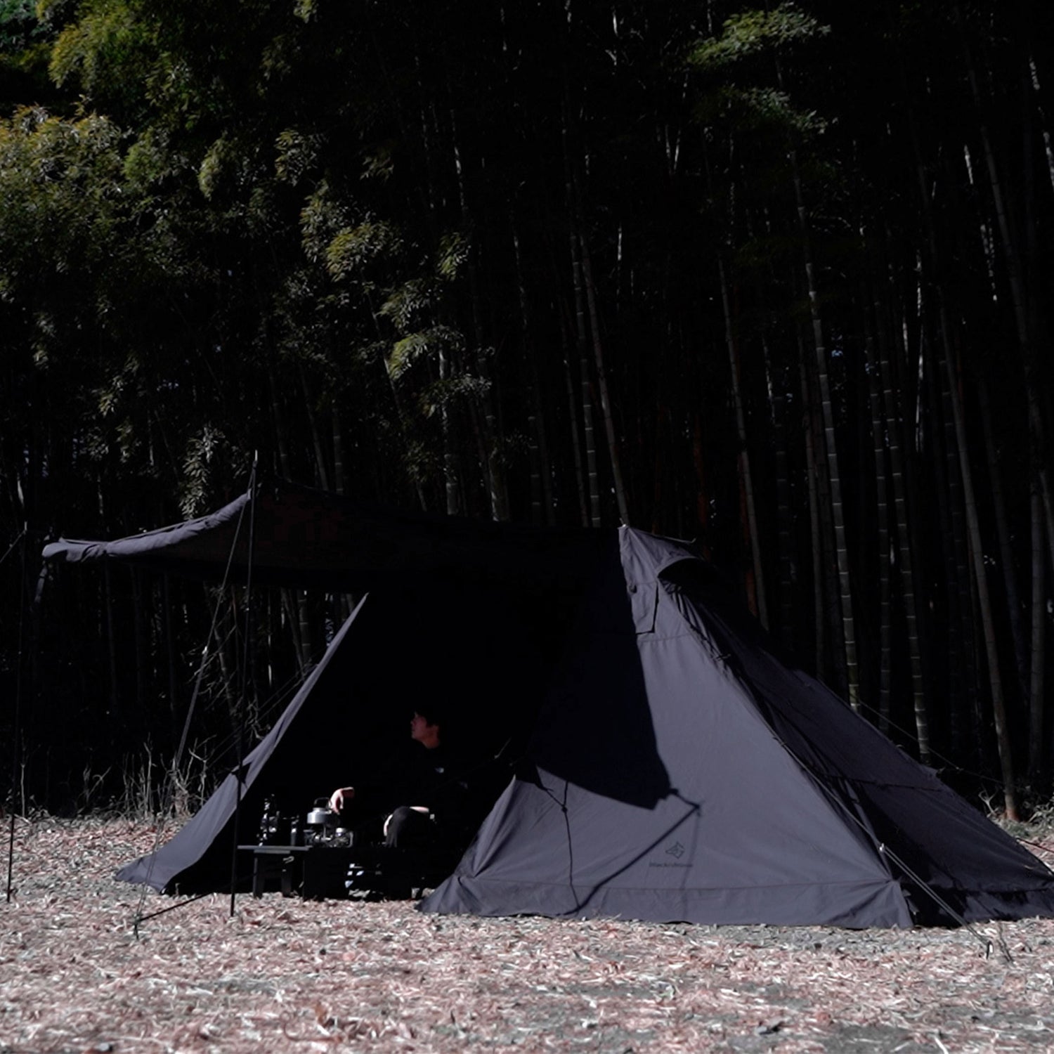 v2-24_1500x.jpg?v=1675491286