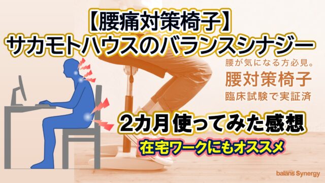 腰痛対策椅子バランスラボのバランスチェア】在宅ワークにおすすめ