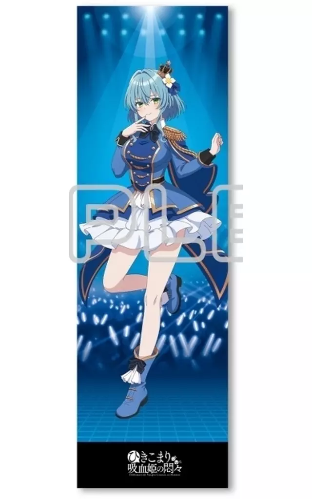 「ひきこまり吸血姫の悶々」 ヴィルヘイズ 抱き枕カバー Mios限定 新規描き下ろし！予約受付中✨ ＼ TVアニメ『#ひきこまり 吸血姫の悶々