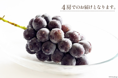 2026年発送】ぶどう 先行受付 巨峰 約 450g 4房 計約 1.8kg [Inakakara