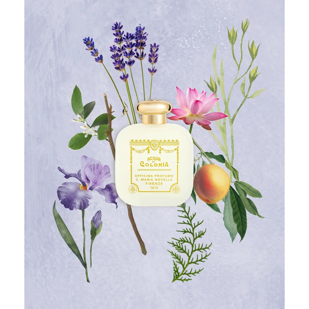 Santa Maria Novella SMN Citta di Kyoto 100ml 京都之水義大利百年藥