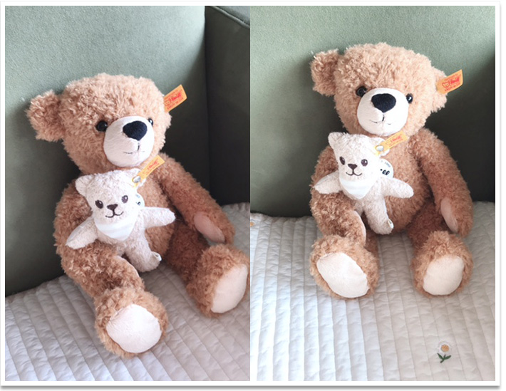 シュタイフ カドリーフレンズ テディベア ハニー 48cm EAN113482