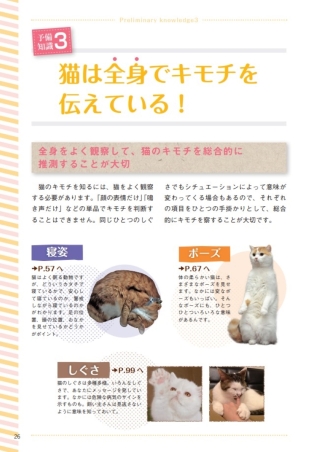 猫語辞典 オールカラー にゃんこのキモチがわかっちゃう！』 ｜ 学研