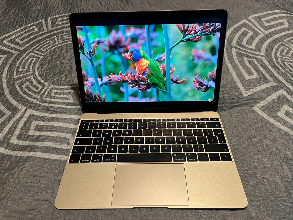 2015 Apple MacBook Laptops for sale | eBay UK