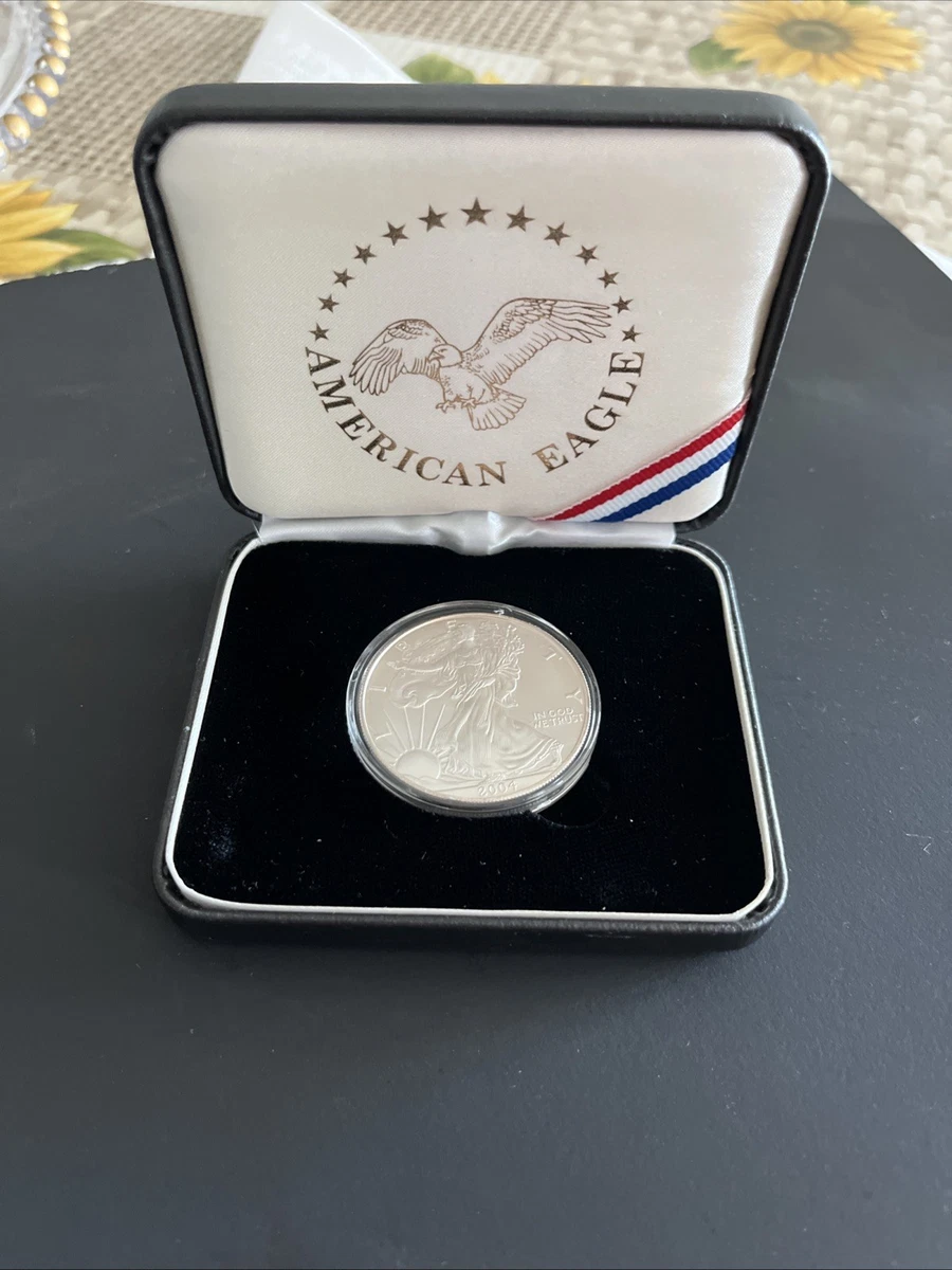 American Eagle Uncertified 2004 Silver Bullion Coins for sale | eBay