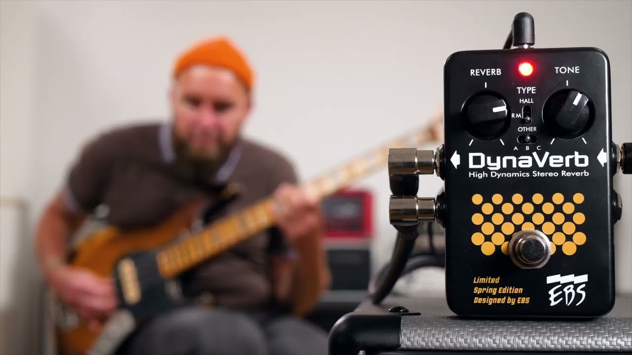 EBS ( イービーエス ) DynaVerb Limited Edition 送料無料 | サウンド