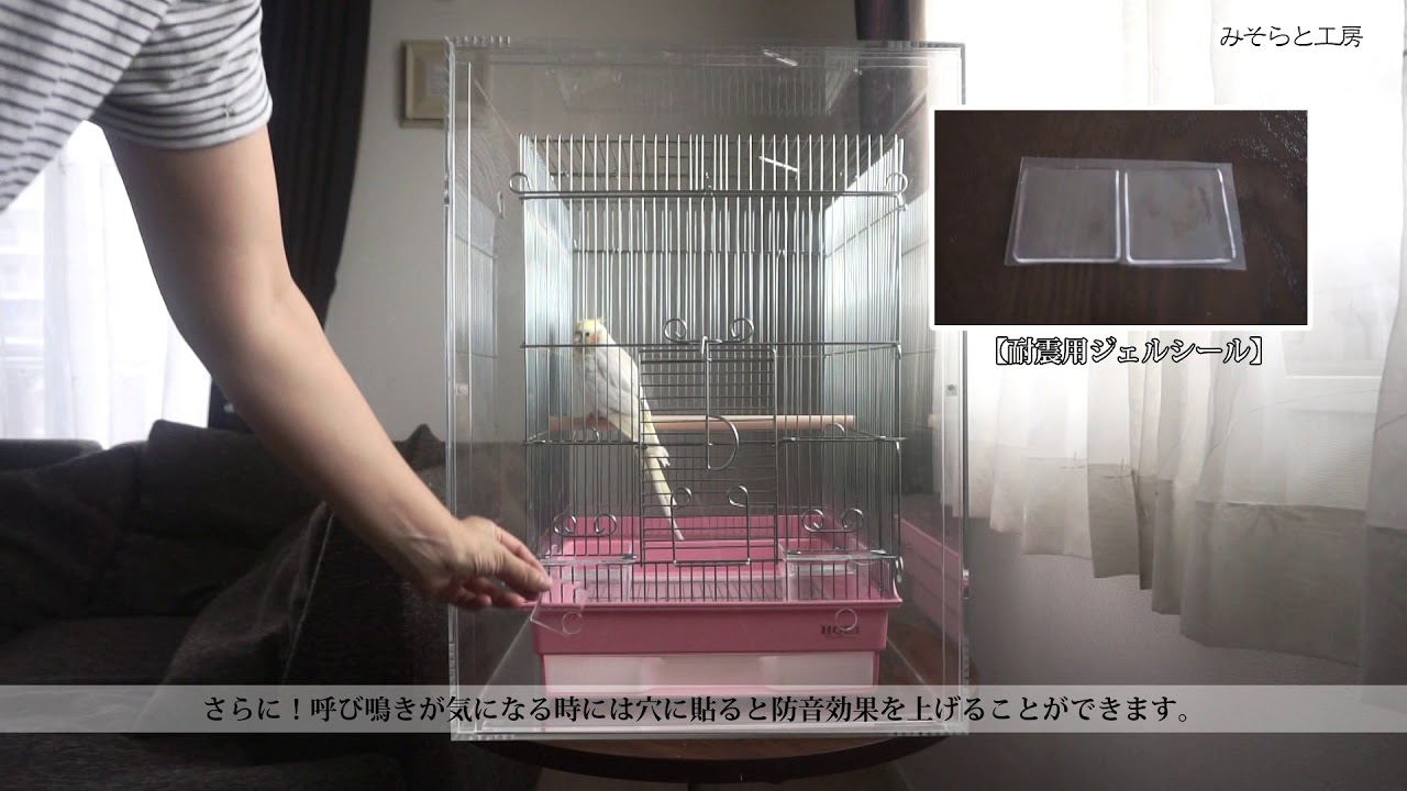 けんどん式扉アクリルバードケージの防音効果を調べてみた！ - YouTube