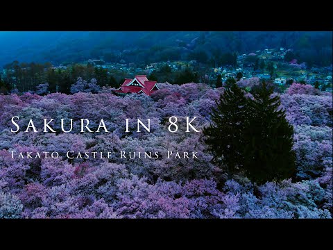 hqdefault.jpg?v=5e914eb4