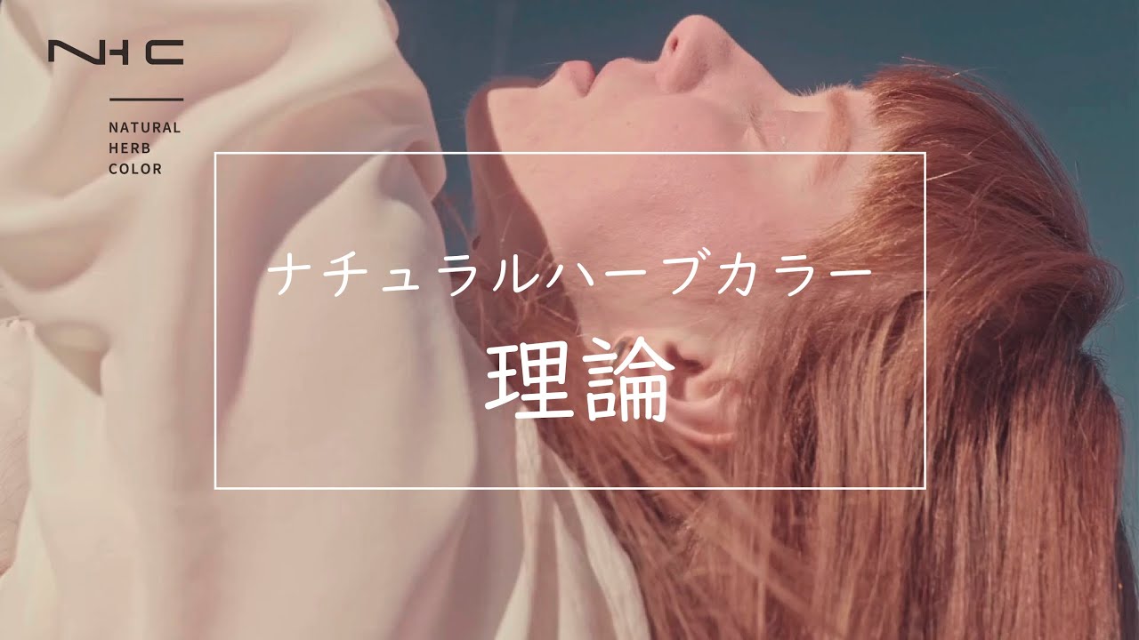 ナチュラルハーブカラー ベージュ 300g【医薬部外品】の卸・通販