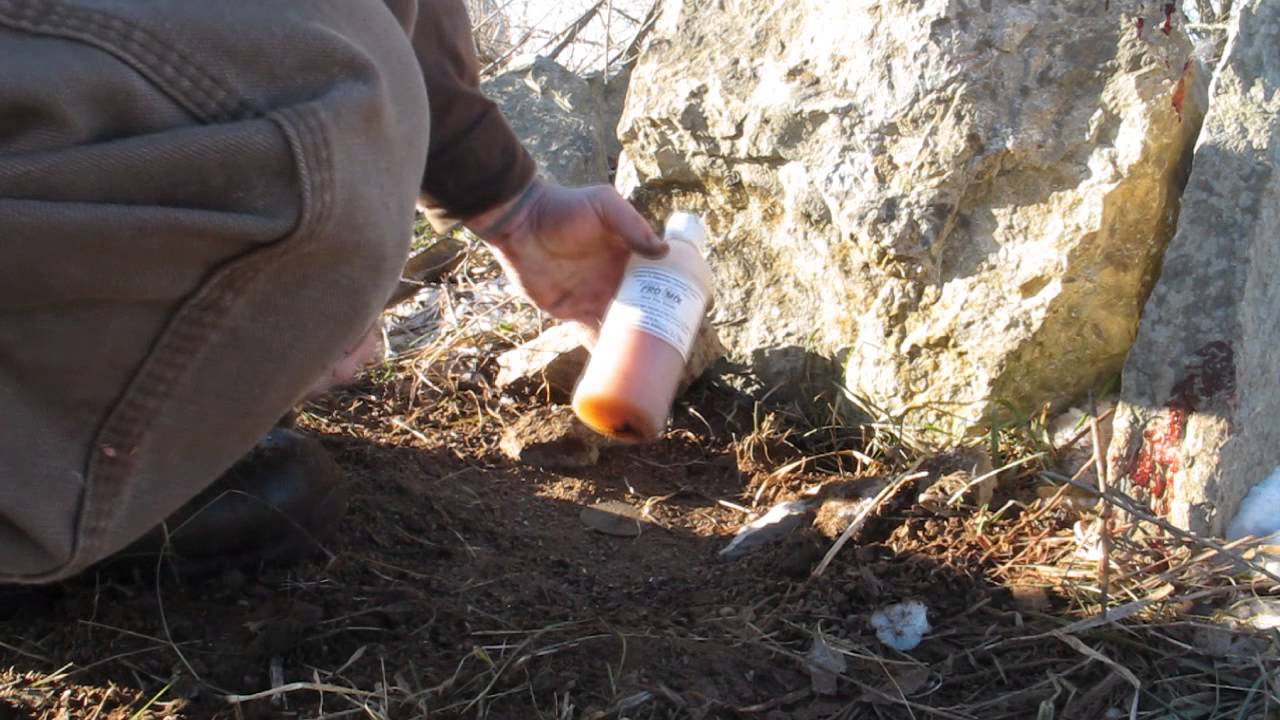 Modern Trapping Series 46 Red Fox in a Winter Upland Set Lessons