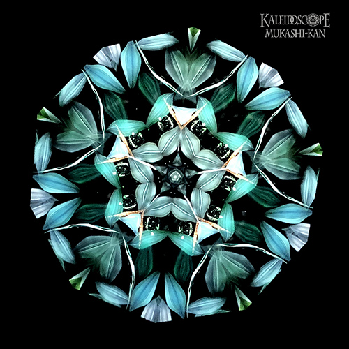 万華鏡：オイルチェンバー】透明な花シリーズ/鳥の眠る樹：細井厚子