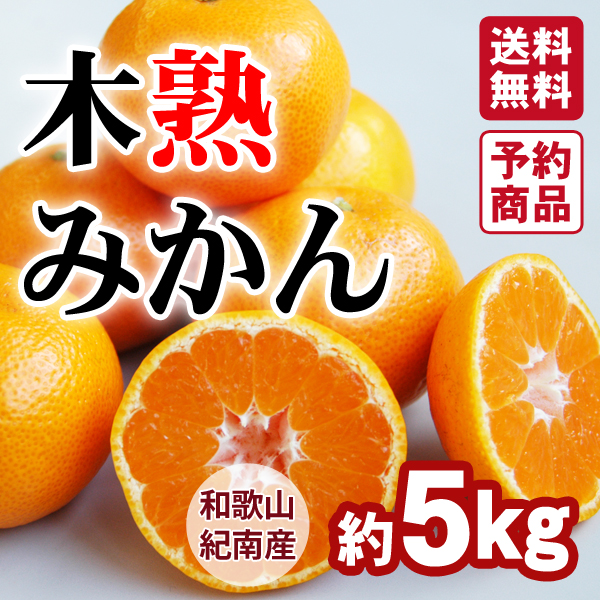 送料無料】木熟みかん「極天」 小玉サイズ 3kg 紀州梅干し・みかんのJA