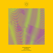 LP レコード フルトヴェングラー 帝国放送局（RRG）アーカイヴ 1939-45