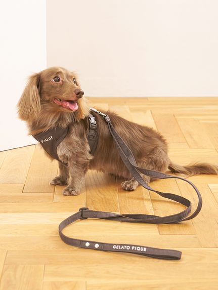 ギフト」に該当する ｜ルームウェア・パジャマ通販のgelatopique