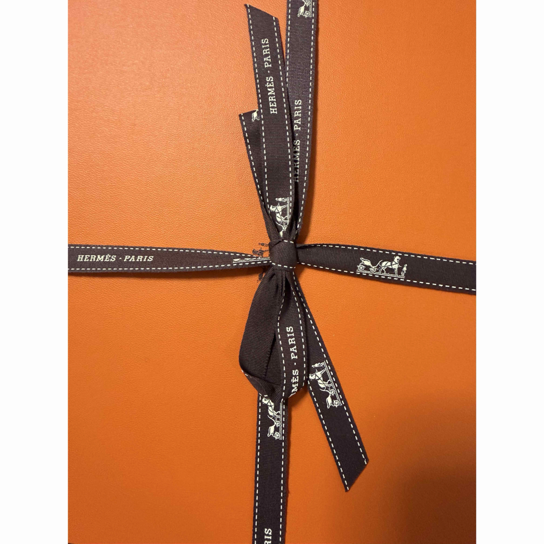 HERMES - 【新品・未使用】エルメス カレ90 ルポミエセリエ 2026SSの