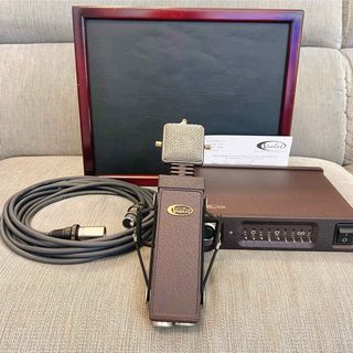 TESLA - 新品Teslaテスラ カラオケ マイク CaraokeMicの通販 by 優奈's