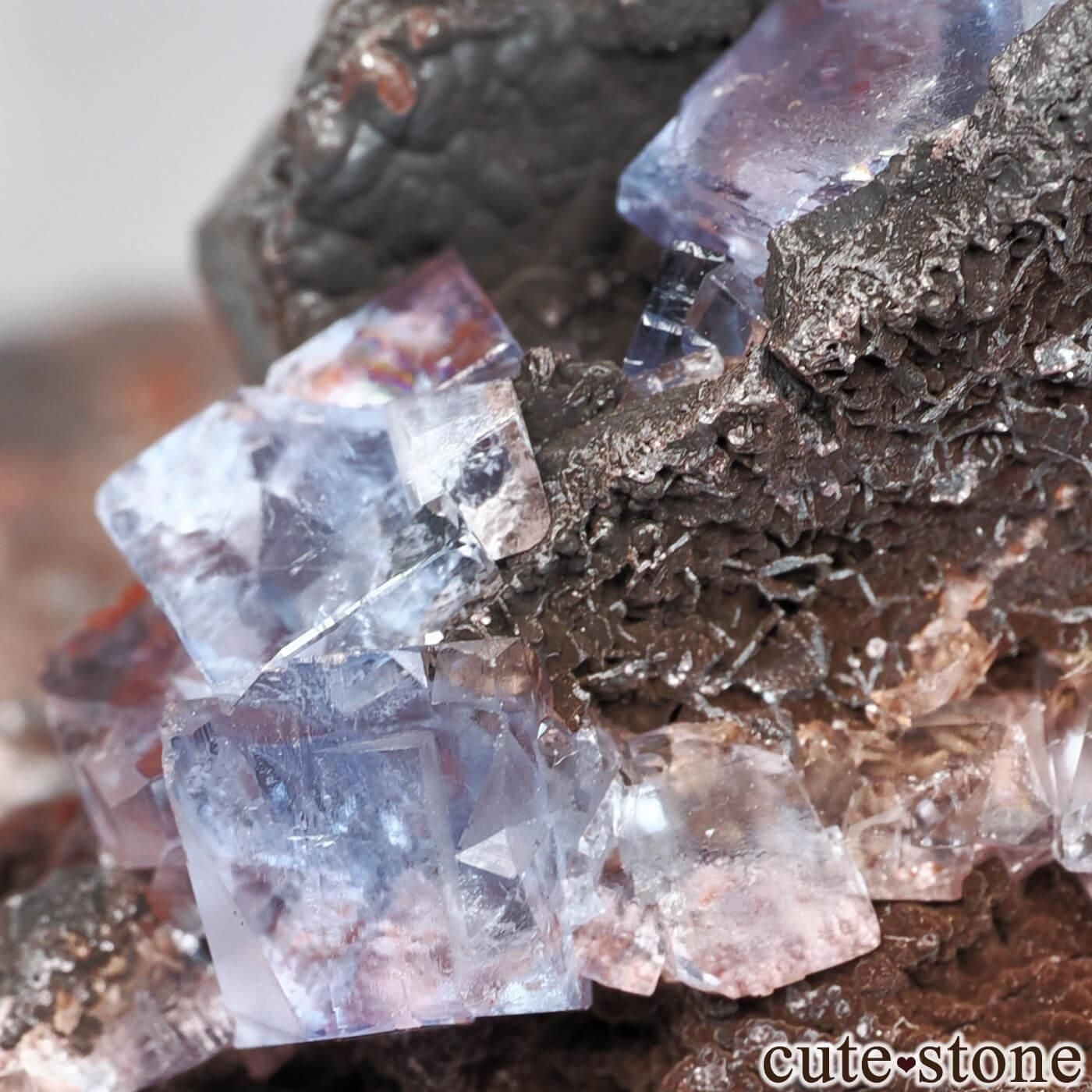 イングランド Florence Mine産 フローライト＆ヘマタイトの原石 No.4