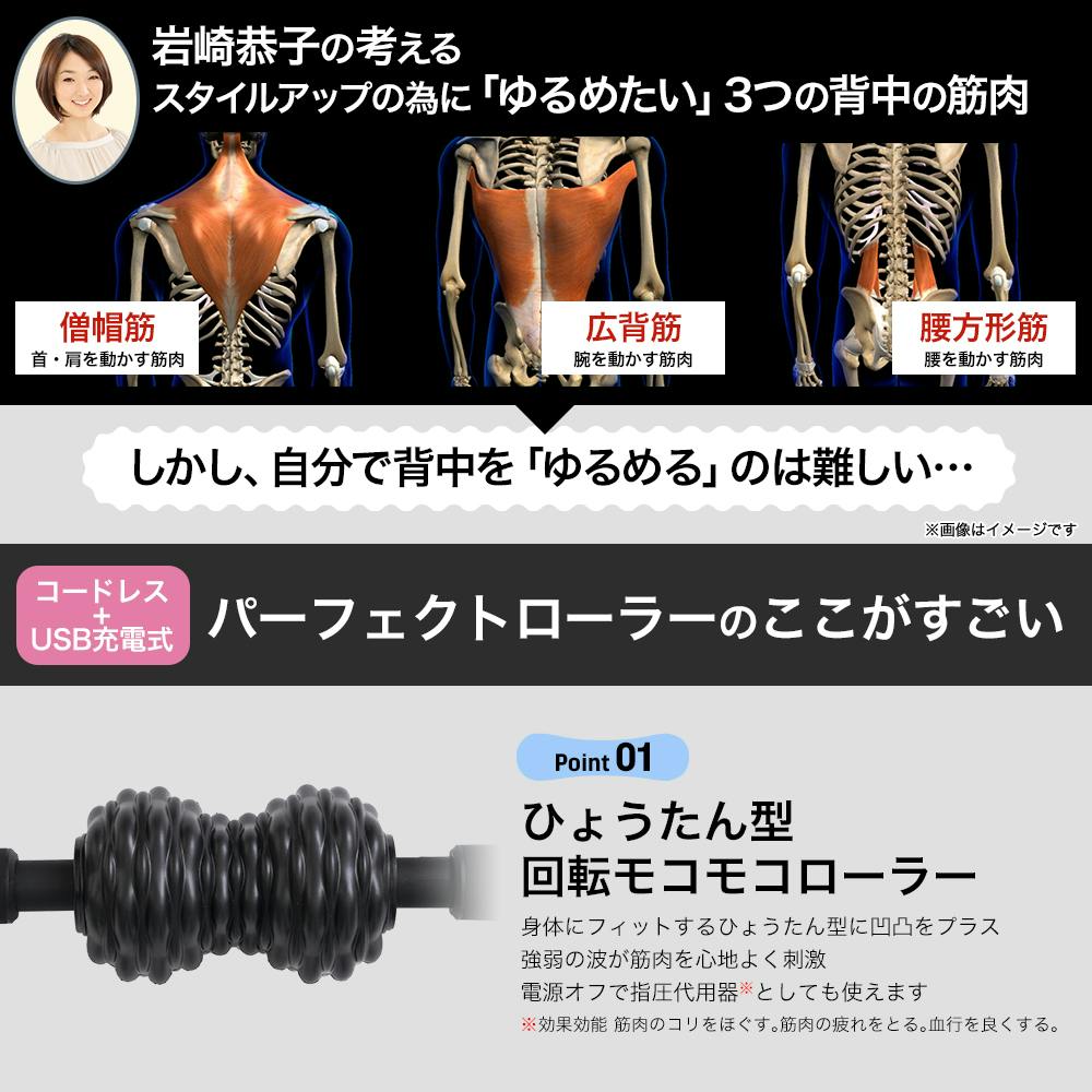 岩崎恭子プロデュース Breast Top パーフェクトローラー（コードレス