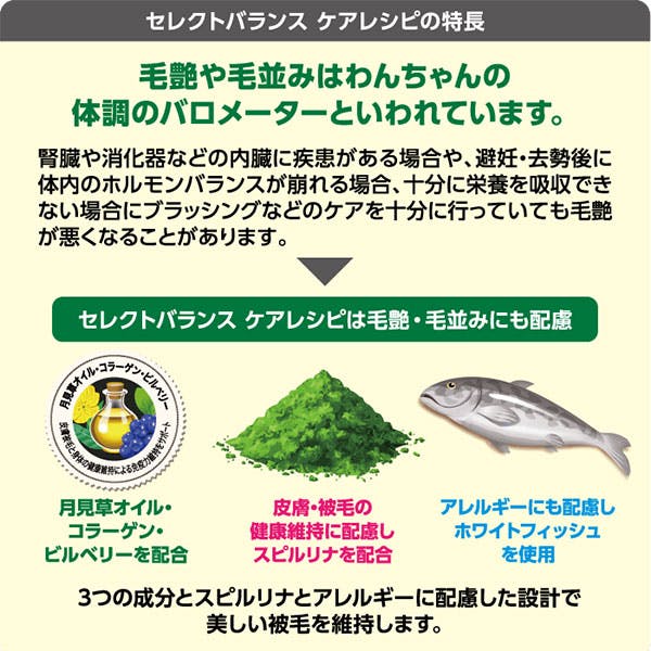 セレクトバランス ケアレシピ 消化器サポートレシピ / 1才以上の成犬用