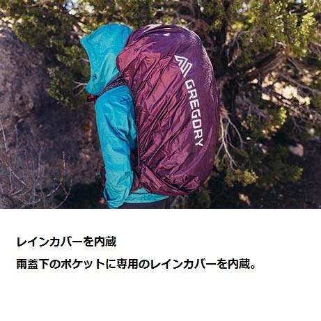 GREGORY（グレゴリー） 【最大P5%！3/7迄】GREGORY ディバ60