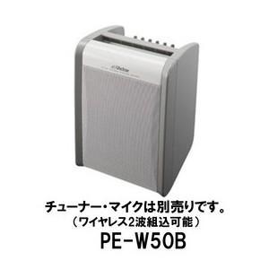 JVCケンウッド（JVC KENWOOD） JVC ポータブル ワイヤレスアンプ PE